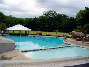 The pool has a children's shallow section at one end and a covered swimmer's bar at the other. 